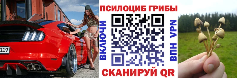 купить Берёзовский Галлюциногенные грибы ЛСД